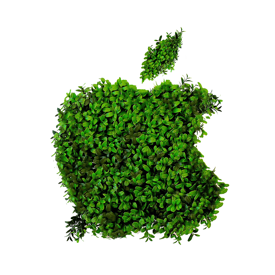 Environment 2030
